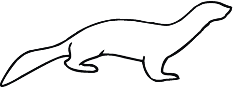 Otter Outline Coloring Page